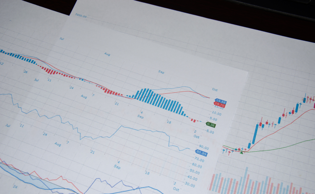 What is the difference between a Gantt chart and a WBS? Explaining the advantages and disadvantages!