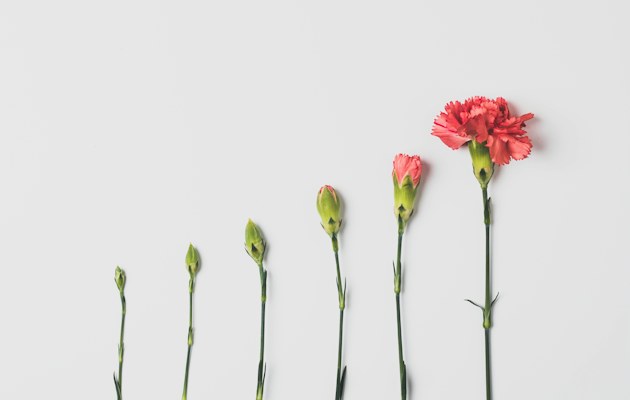フェーズ別に見る取り組みと確認する指標